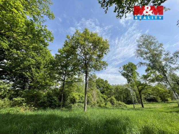 Prodej zahrady, Jeníkov - Oldřichov, 1999 m2