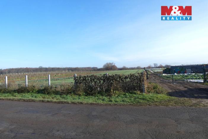 Prodej pole, Nové Dvory, 9979 m2