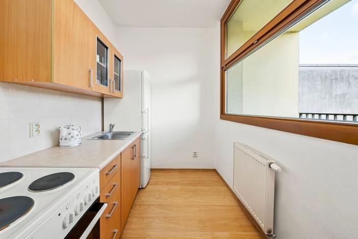 Prodej bytu 1+1, Týnec nad Sázavou, Na Kněžině, 39 m2