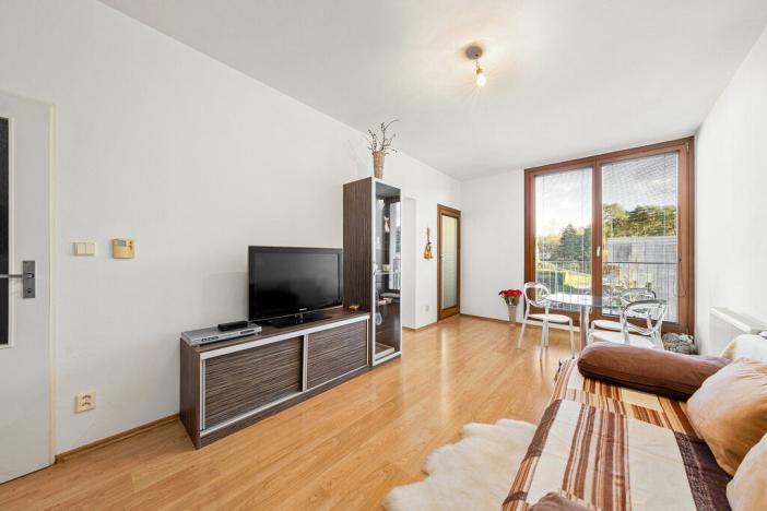 Prodej bytu 1+1, Týnec nad Sázavou - Brodce, Na Kněžině, 39 m2