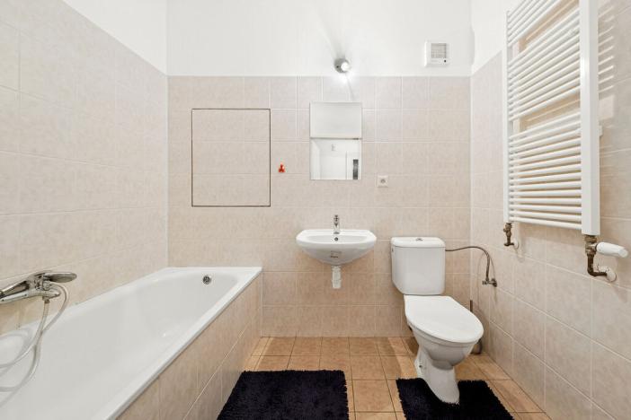 Prodej bytu 1+1, Týnec nad Sázavou - Brodce, Na Kněžině, 39 m2