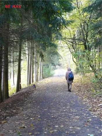 Prodej pozemku pro bydlení, Mariánské Lázně, Dobrovského, 1311 m2