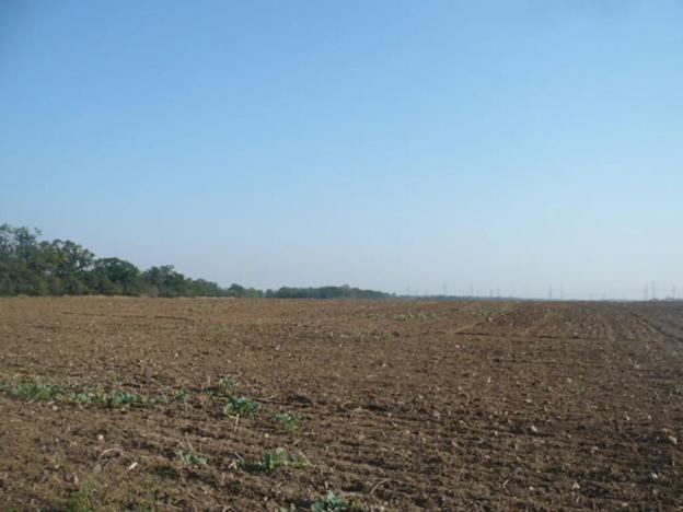 Prodej komerčního pozemku, Veltrusy, 3681 m2