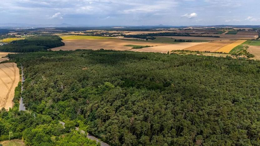 Prodej zemědělské usedlosti, Mělník, Chloumecká, 93 m2