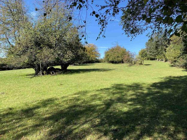 Prodej pole, Nový Rychnov - Čejkov, 7207 m2