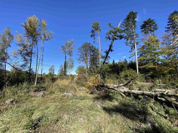 Prodej pole, Nový Rychnov - Čejkov, 7207 m2