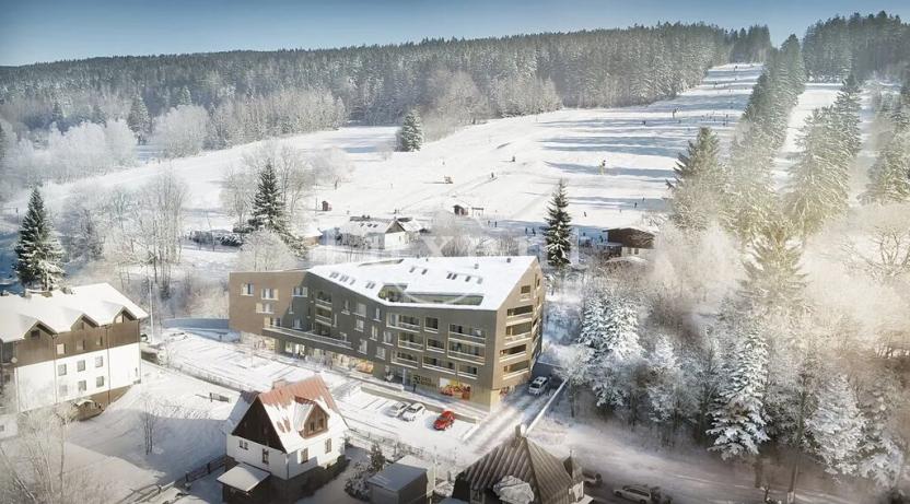 Prodej bytu 2+kk, Železná Ruda, 54 m2