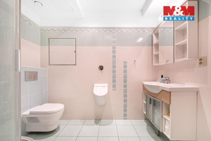 Pronájem bytu 4+kk, Plzeň - Severní Předměstí, Bolevecká, 151 m2