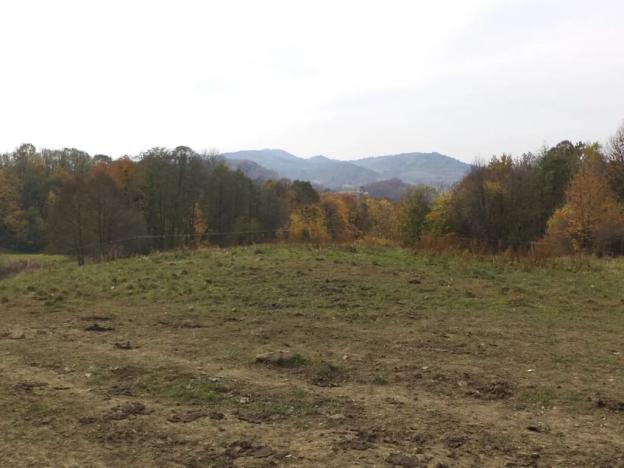 Dražba louky, Nový Jičín, 6670 m2