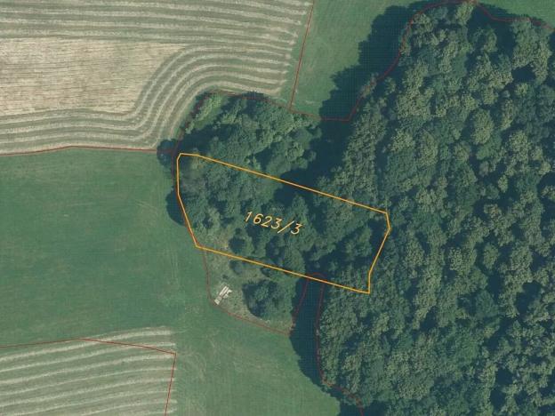 Dražba louky, Nový Jičín, 6670 m2