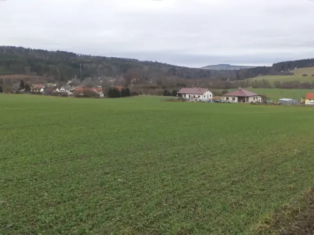 Dražba louky, Srby, 19946 m2