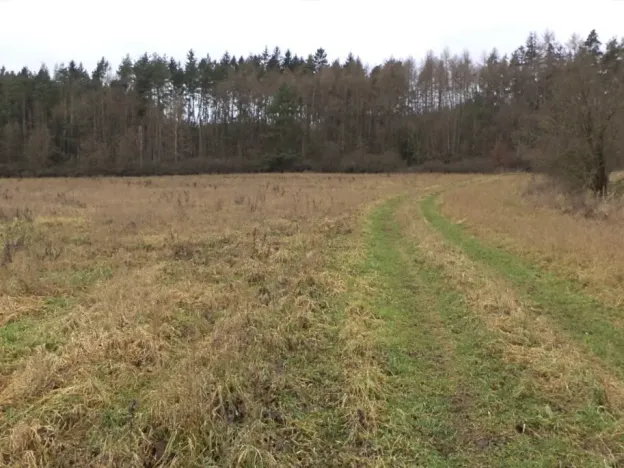 Dražba louky, Srby, 19946 m2