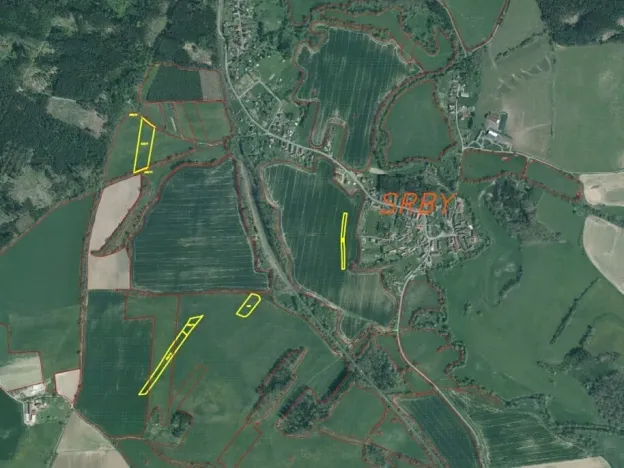 Dražba louky, Srby, 19946 m2