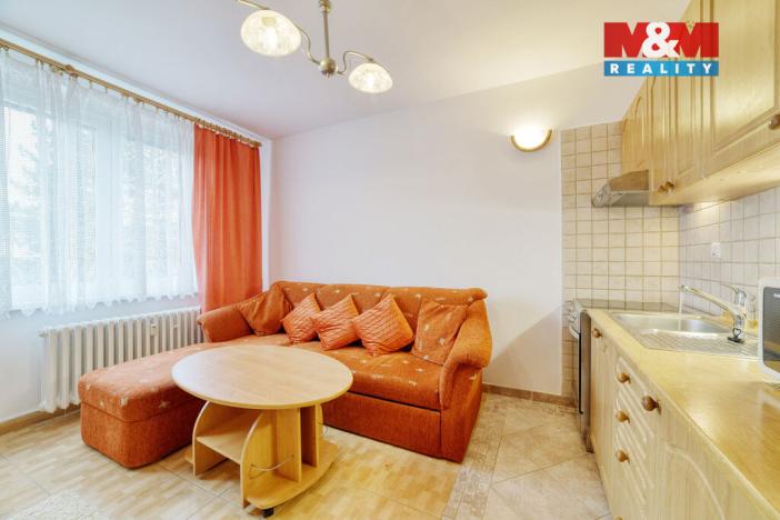 Pronájem bytu 1+kk, Mariánské Lázně - Úšovice, Tepelská, 20 m2