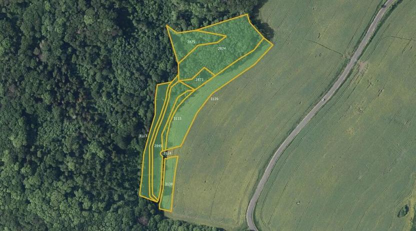 Prodej louky, Kostomlaty pod Milešovkou, 28333 m2