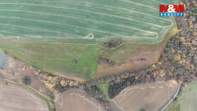 Prodej louky, Skuteč, 3101 m2