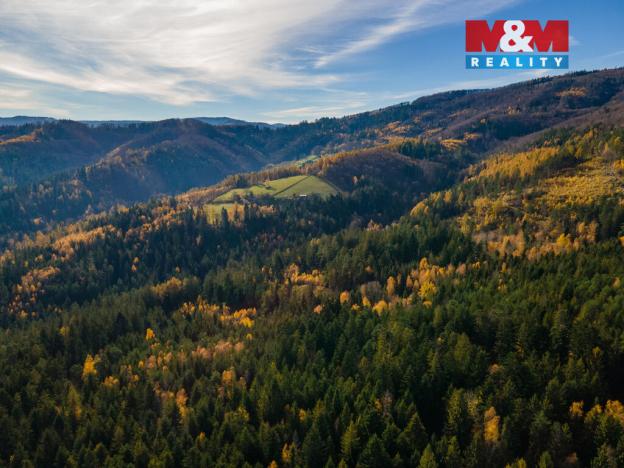 Prodej louky, Milíkov, 4541 m2