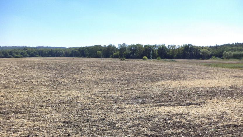 Prodej pozemku, Podbořany - Kněžice, 1801 m2