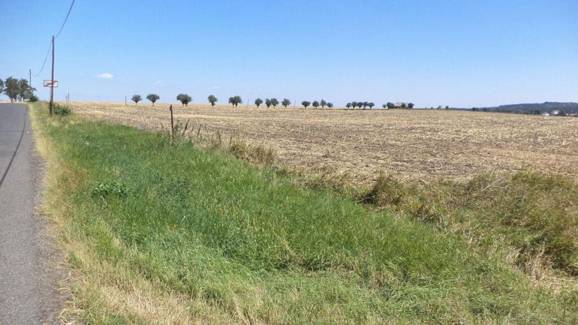 Prodej pozemku, Podbořany - Kněžice, 1801 m2