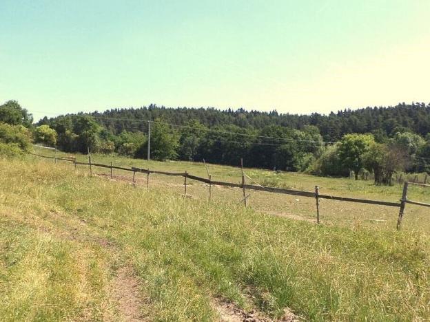 Prodej pole, Přeštěnice - Držkrajov, 2817 m2
