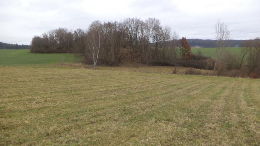 Prodej pole, Srby, 19946 m2