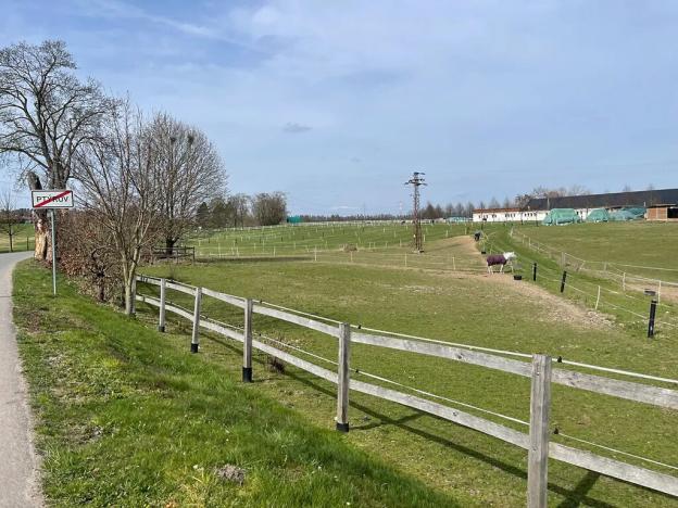 Prodej louky, Ptýrov, 1055 m2