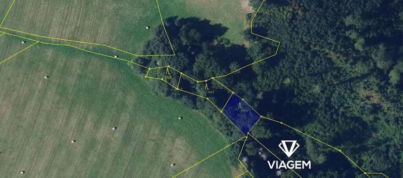 Prodej lesa, Lomnice, 10434 m2