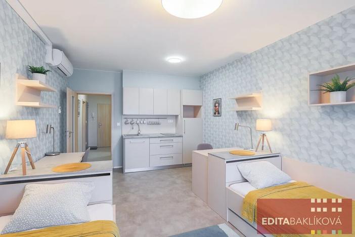 Pronájem bytu 1+kk, Olomouc, 17. listopadu, 33 m2