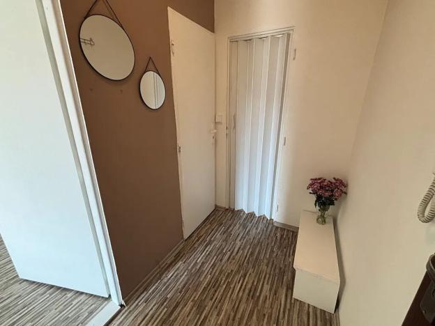 Pronájem bytu 1+1, Frýdek-Místek, Petra Cingra, 44 m2