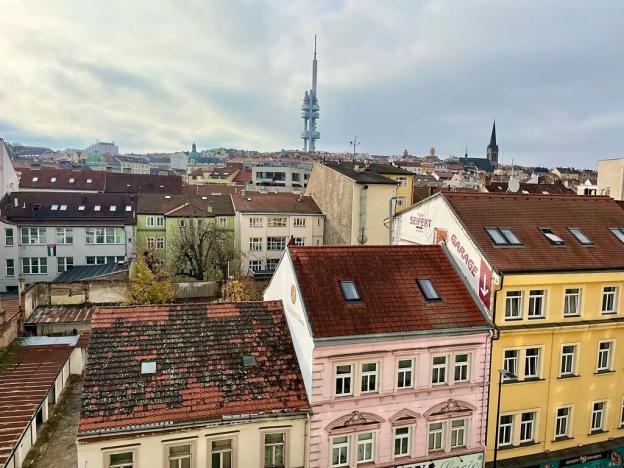Pronájem bytu 2+1, Praha - Žižkov, Hartigova, 62 m2