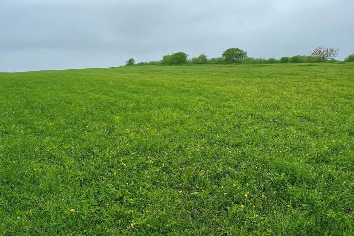 Prodej pole, Louka, 5762 m2