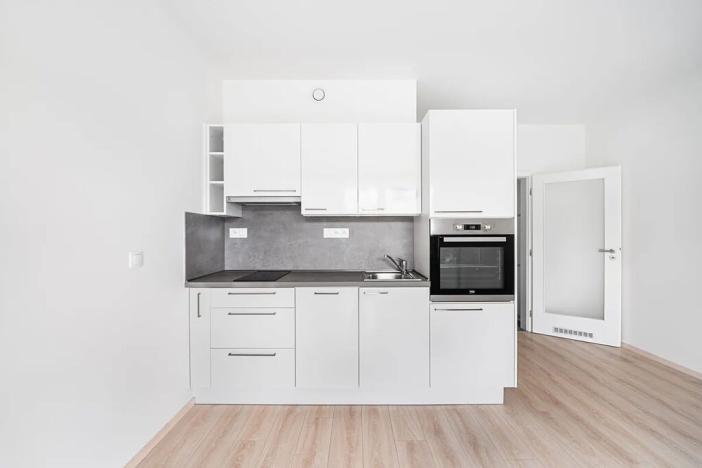 Prodej bytu 1+kk, Praha - Hodkovičky, Šífařská, 29 m2