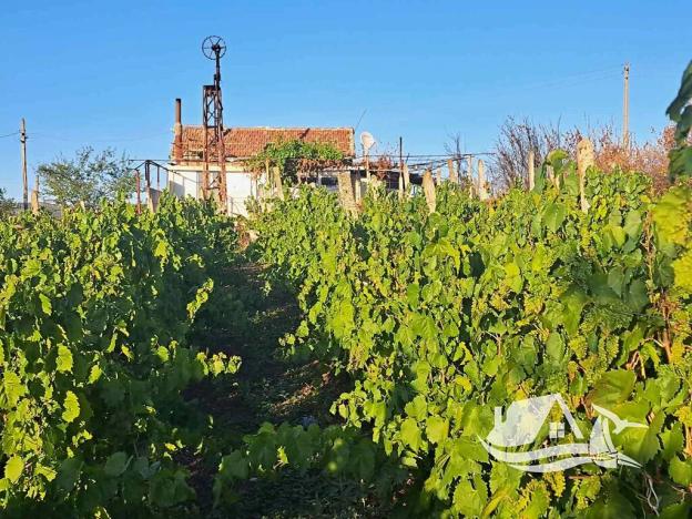 Prodej rodinného domu, Burgas, Bulharsko, 36 m2