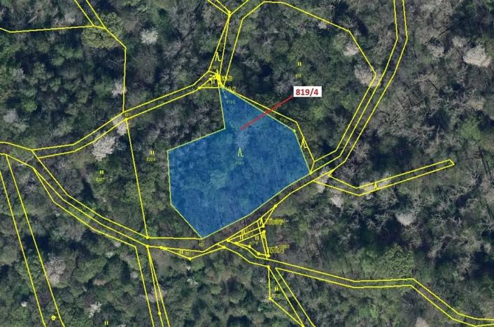 Dražba lesa, Zubrnice, 2875 m2