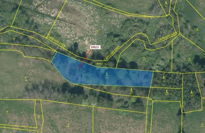 Dražba lesa, Psárov, 3464 m2