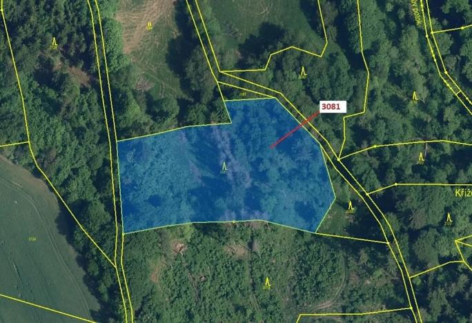 Dražba lesa, Benešov u Semil, 6213 m2