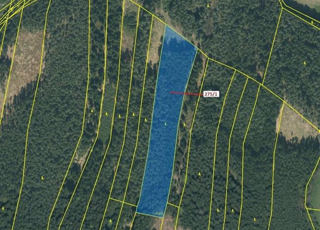 Dražba lesa, Psárov, 15717 m2