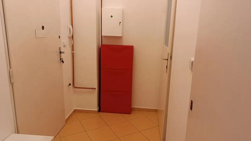 Pronájem bytu 1+1, Praha - Staré Město, U milosrdných, 41 m2