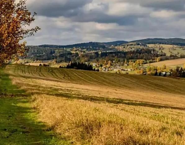 Prodej bytu 5+kk, Vysoké nad Jizerou, 165 m2