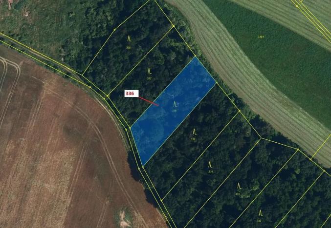 Dražba lesa, Přešovice, 1947 m2