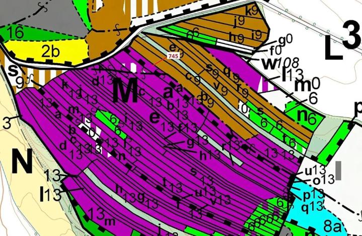 Dražba lesa, Dolní Vilémovice, 1957 m2
