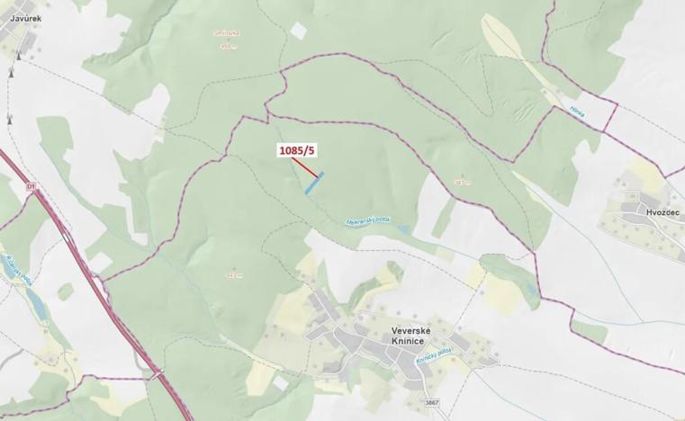 Dražba lesa, Veverské Knínice, 3926 m2