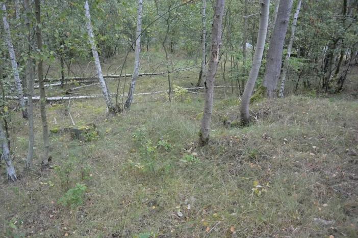 Prodej zahrady, Liberec, 1233 m2