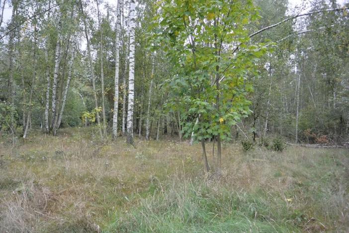 Prodej zahrady, Liberec, 1233 m2