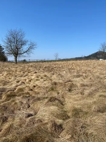 Prodej pozemku pro bydlení, Hamr na Jezeře, 875 m2