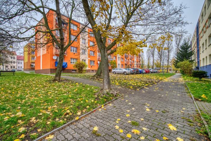 Pronájem bytu 3+1, Litvínov - Horní Litvínov, Vinohradská, 60 m2