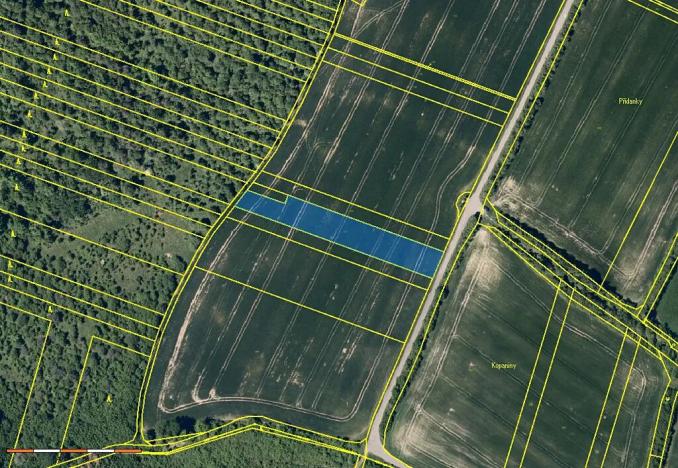 Prodej pole, Šarovy, 9623 m2