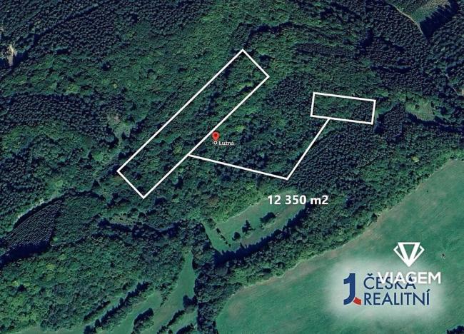 Prodej podílu lesa, Lužná, 3087 m2