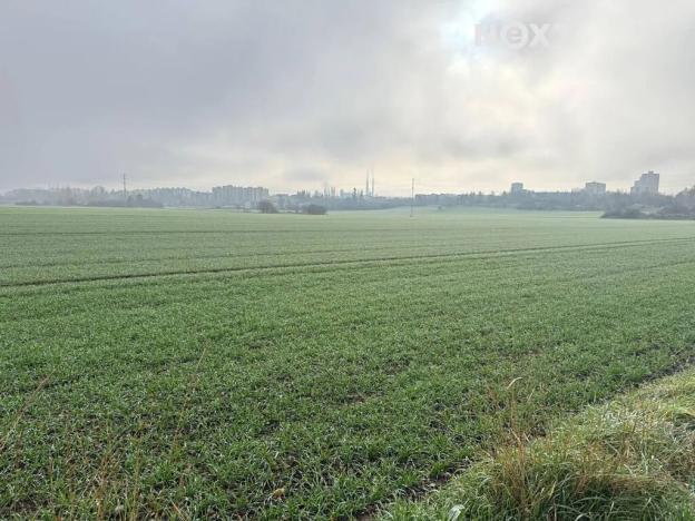 Prodej zahrady, Plzeň, 327 m2