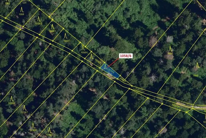 Dražba lesa, Veverské Knínice, 77 m2